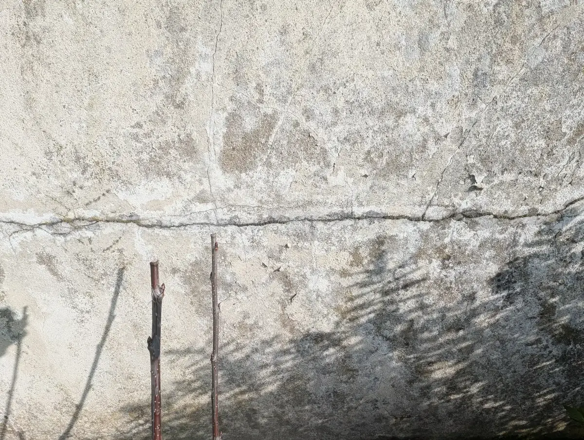 Fissure horizontale traversant l’enduit d’une façade de Pleucadeuc, relevée avant chiffrage