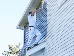 Un homme travaille sur l'extérieur d'une maison en peignant la façade blanche en bleu.
