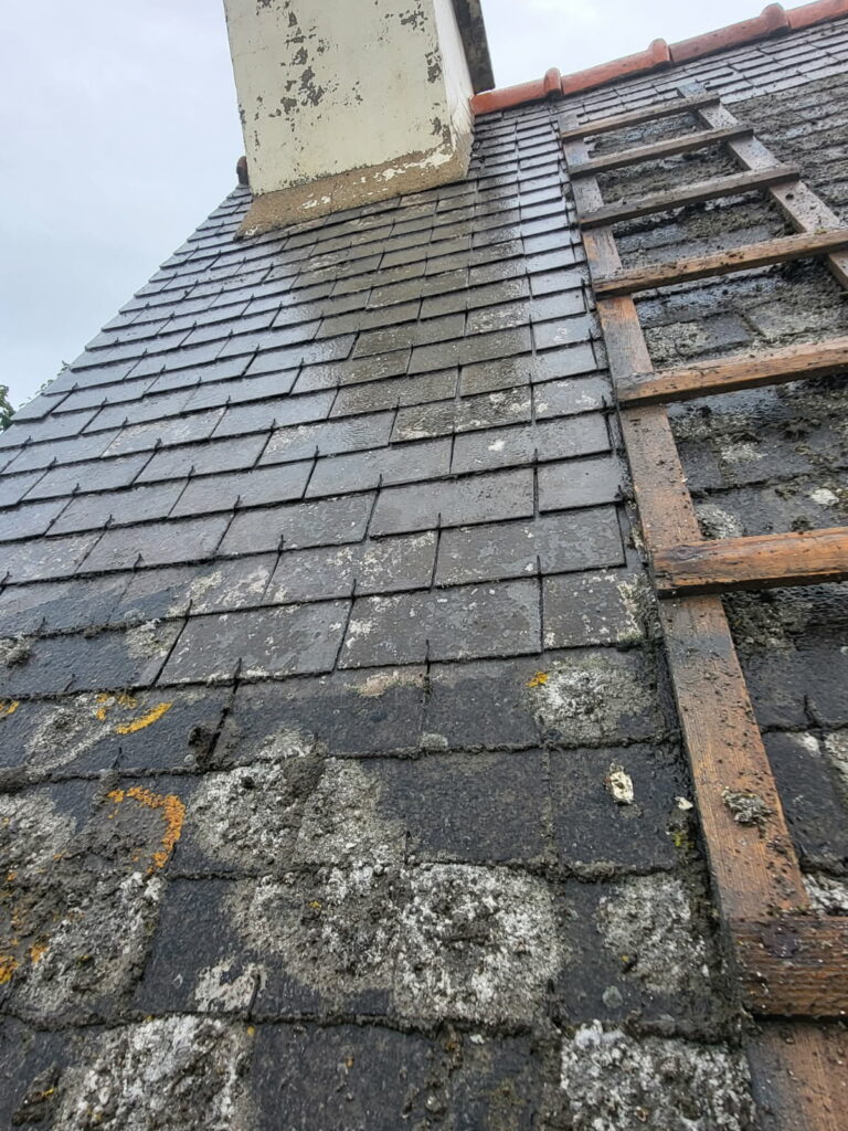 Toiture envahie par la mousse avant nettoyage et rénovation